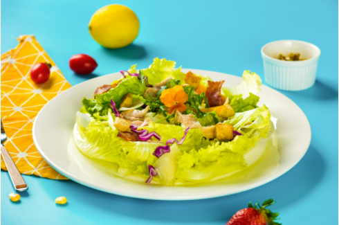 正規的輕食加盟